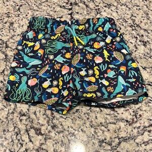 “Cat & Jack” Kids Ocean Print Swim Shorts, 2T, GUC, So Cute!